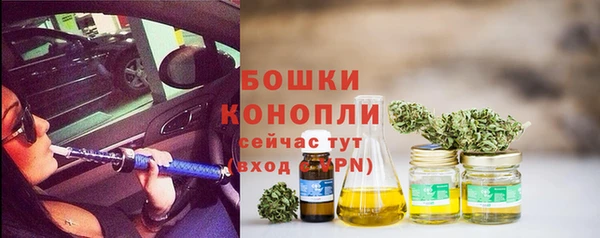 хмурый Струнино